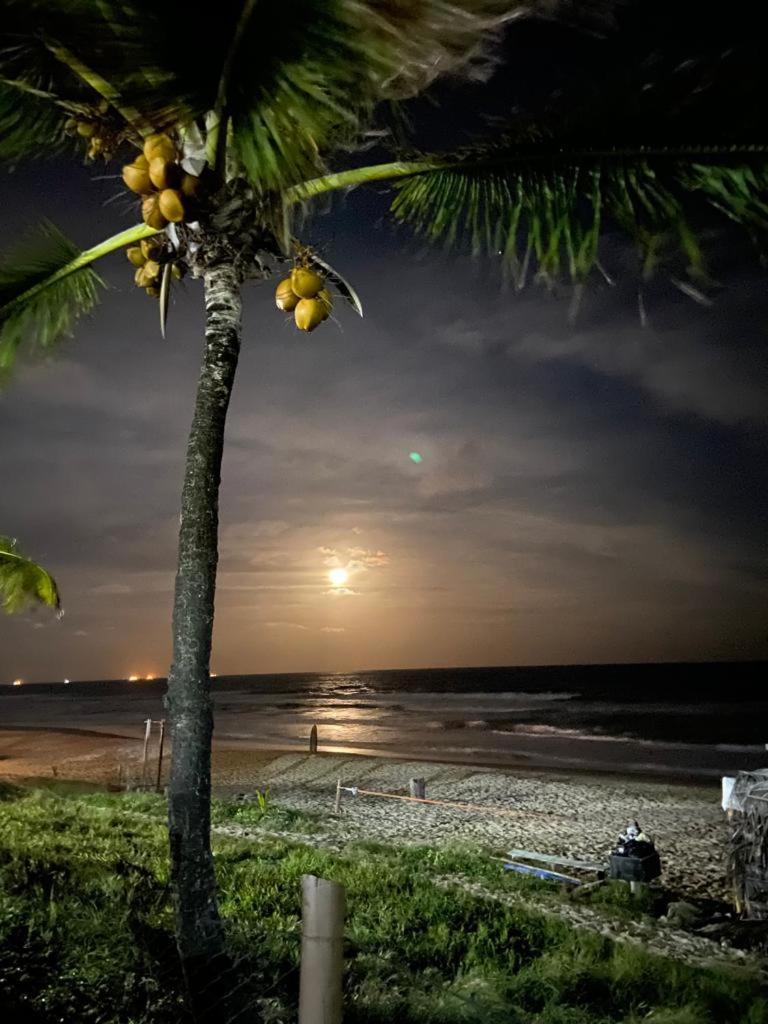 Ancorar Flat Resort Beira-Mar De Pôrto das Galinhas Exteriér fotografie